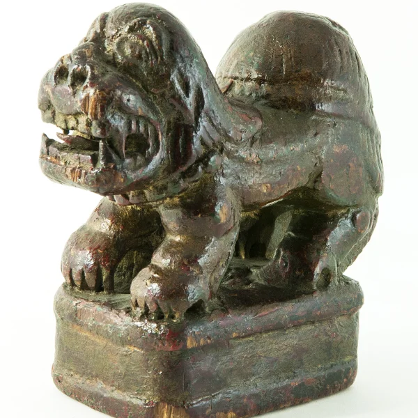 Il "Leone delle Nevi"