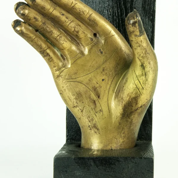 Mano del Budda
