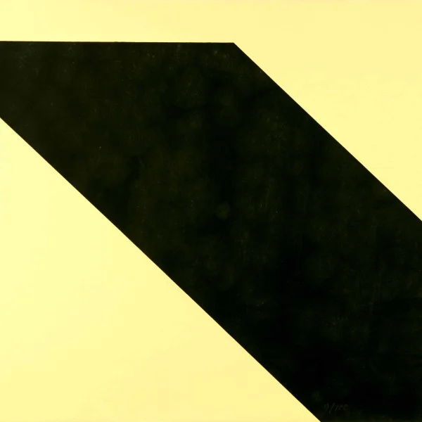 Fascia obliqua | 1 Serigrafia