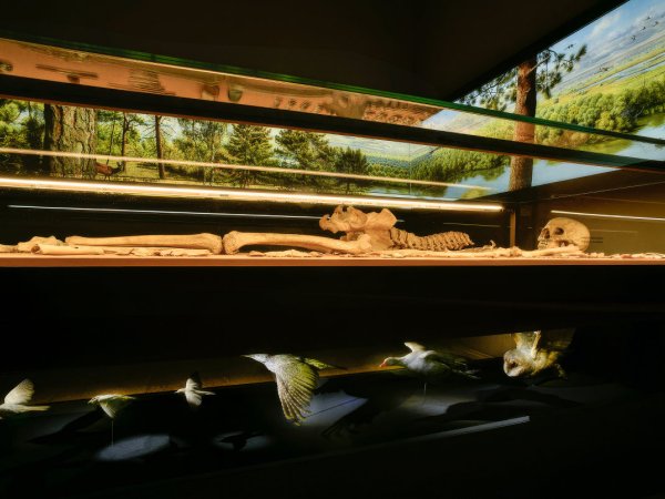 FSP e METS, partners della grande mostra "Die Schamanin" in Germania