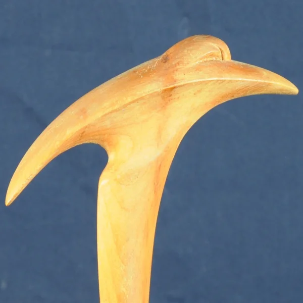 Violinista (sintesi)