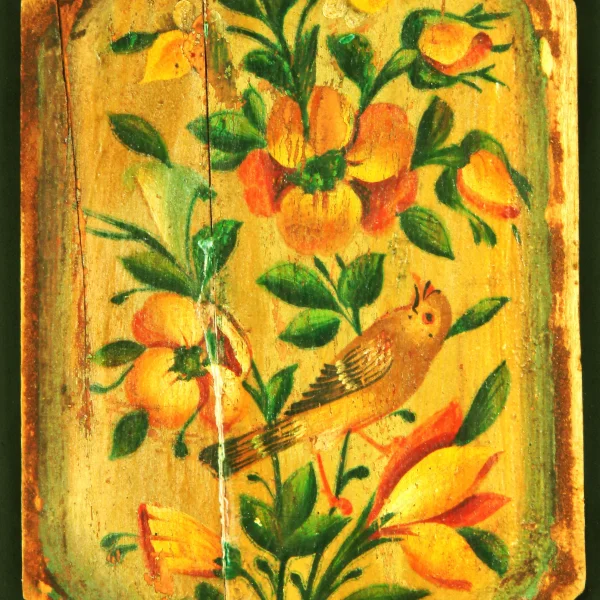 Piante e uccelli