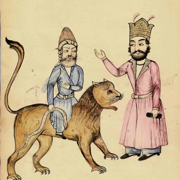 Foglio Manuale - Album