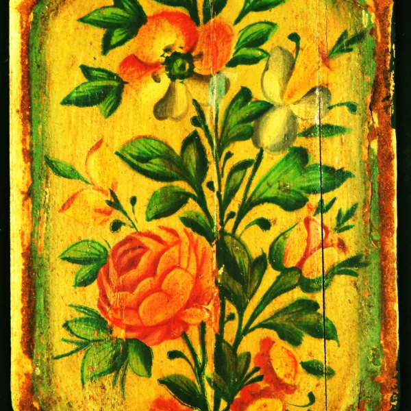 Piante e uccelli