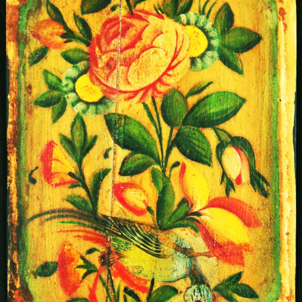 Piante e uccelli