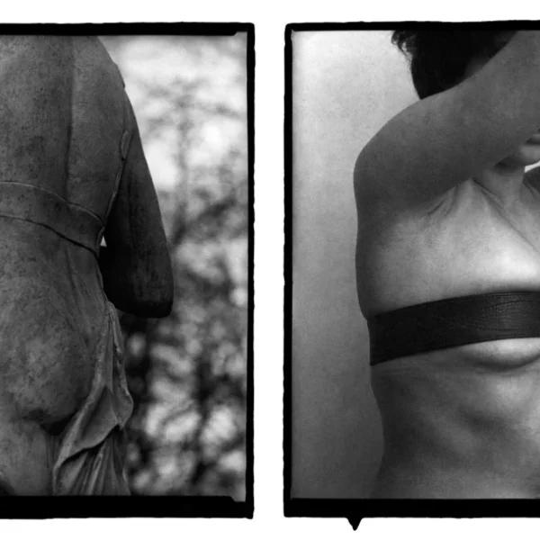 Neoccademismo è Sadomasochismo (XV)