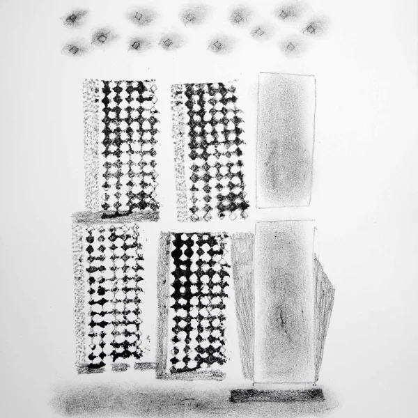 IL PESCE E L'OMBRA | 2 prove d'autore