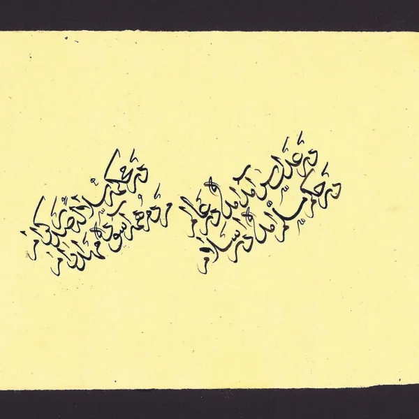 Reperto Etnico