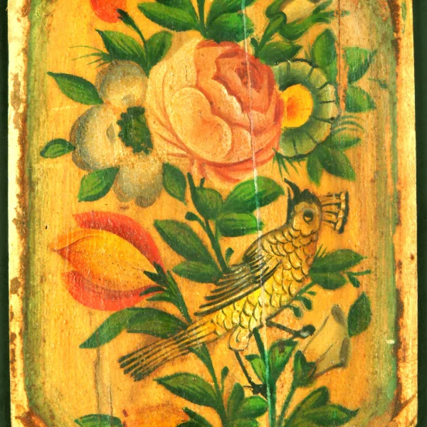 Piante e uccelli