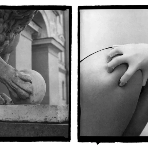 Neoccademismo è Sadomasochismo (IV)