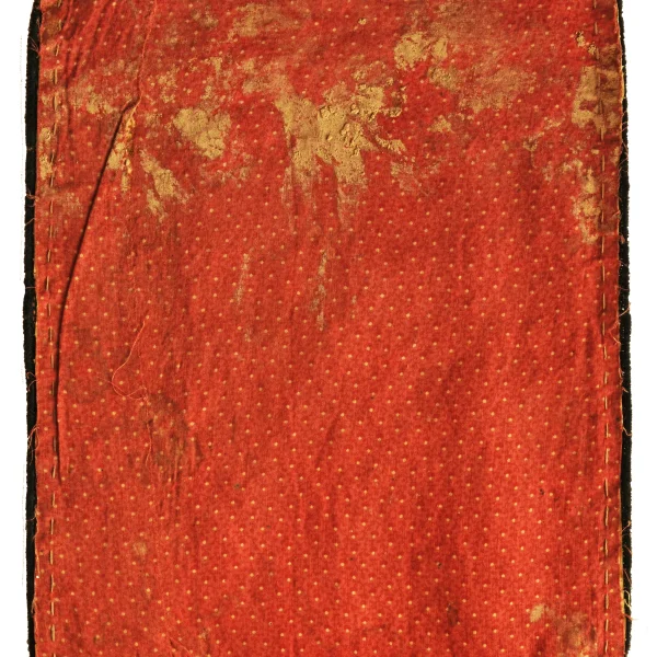 Donna albero della vita.