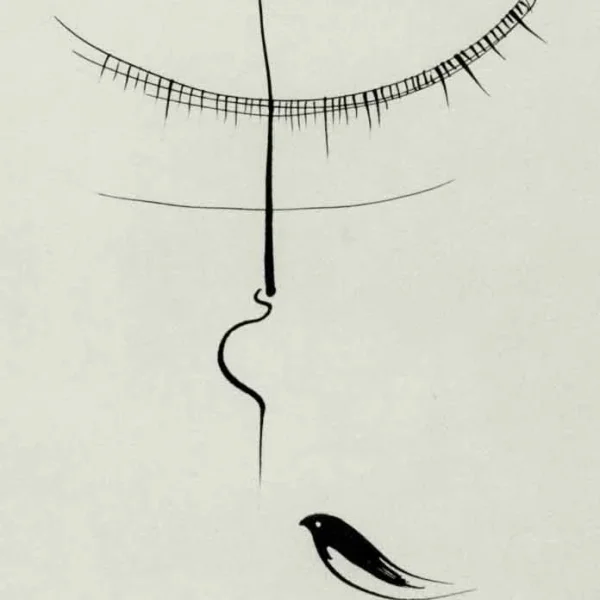 L'uccello nero è vicino all'equilibrio