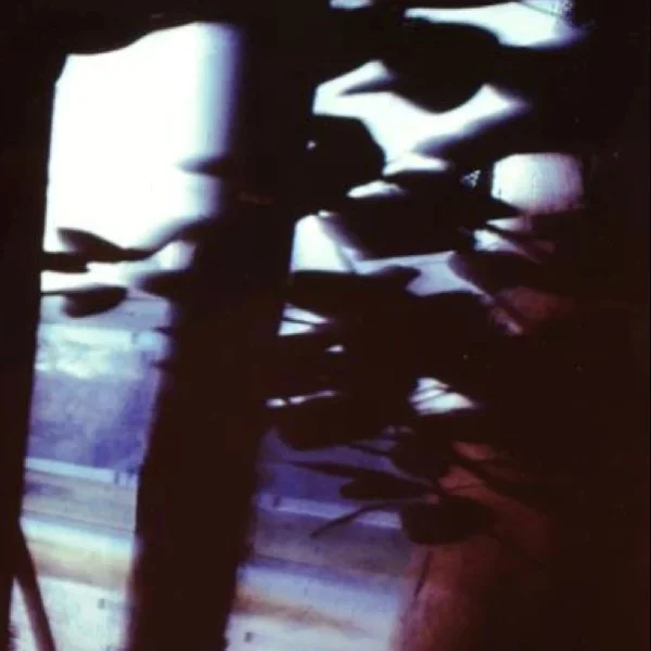 Esposizione in tempo reale n° 20 (IV)