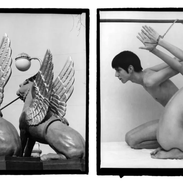 Neoccademismo è Sadomasochismo (XI)