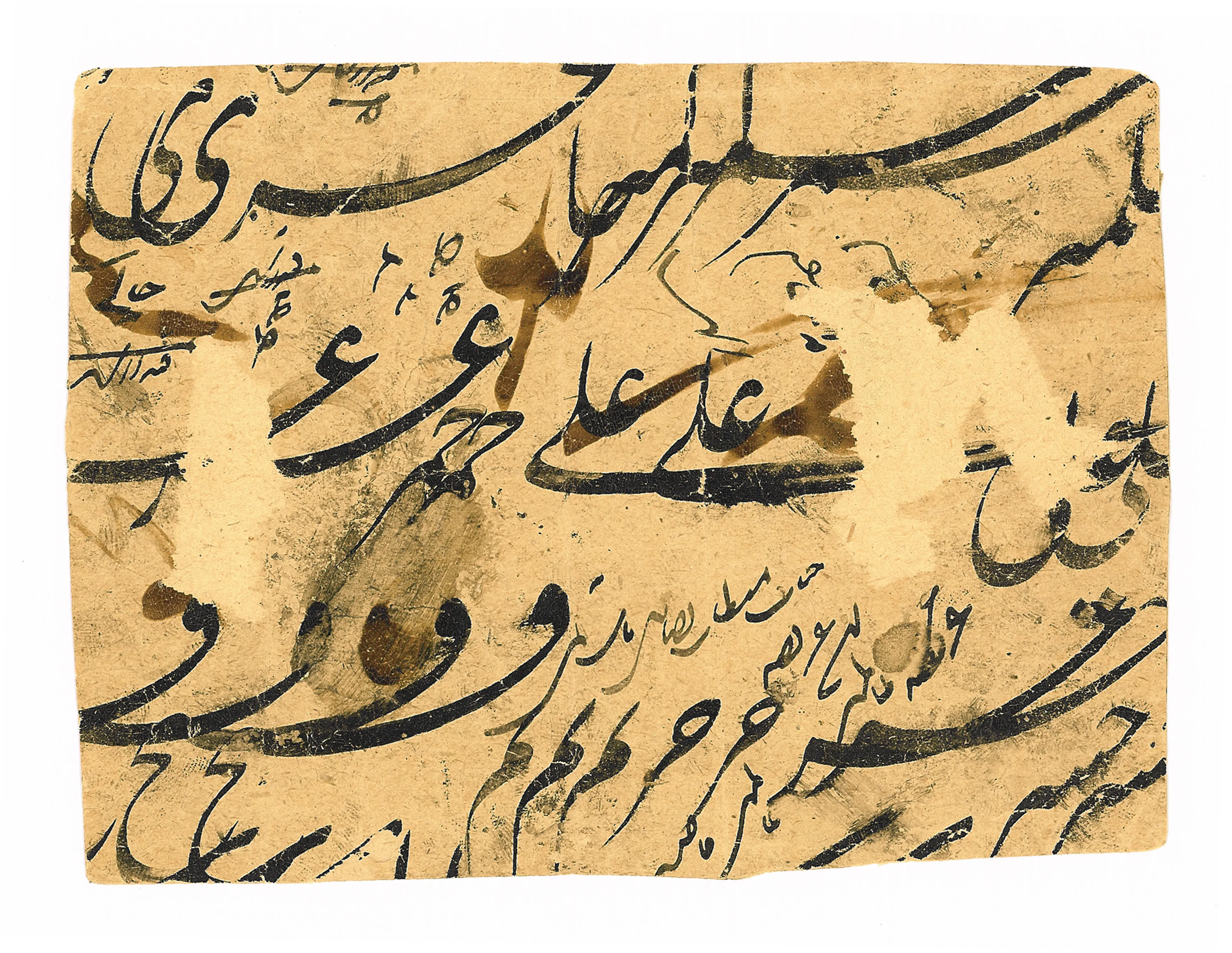 Talismano di iettatura:"Pianta della fortezza del destino"